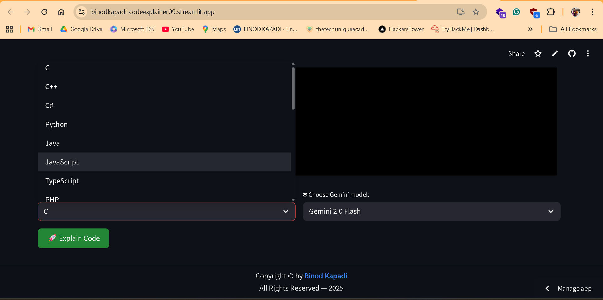 Codeexplainer screenshot 2